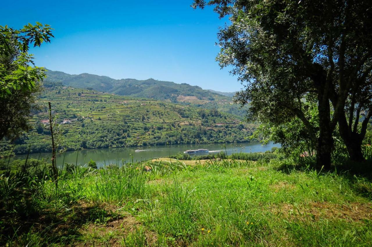 Casa Da Mouta - Douro Valley Baiao Exterior photo